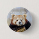 Pesquisar por porcelana botons Panda vermelha