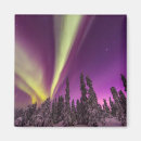 Pesquisar por da aurora boreal imas Floresta