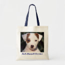 Pesquisar por jack russell terrier Cachorrinho