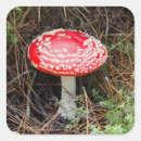 Pesquisar por close up adesivos Botânica