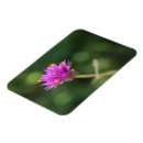 Pesquisar por flor roxa imas Floral
