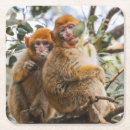 Pesquisar por do macaco copos porta copos Fofofo