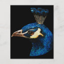 Pesquisar por decorativo flyers Notas decorativas