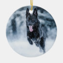 Pesquisar por lobo preto ornamentos Animal