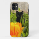 Pesquisar por exemplo dos animais capas Gato