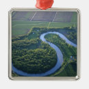 Pesquisar por curvas ornamentos Verde
