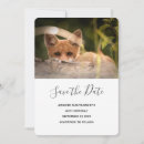 Pesquisar por pele animal convites Vida selvagem