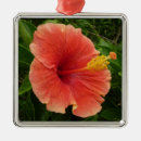 Pesquisar por tropical floral ornamentos Qualquer pessoa