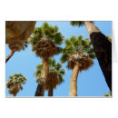 Pesquisar por oasis cartoes Qualquer pessoa