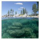 Pesquisar por exterior azulejos Eua