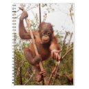 Pesquisar por macaco selvagem animais cadernos de notas Bonito