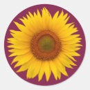 Pesquisar por selo amarelo da flor Chá de panela