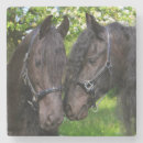 Pesquisar por imagens do cavalo porta copos Animais