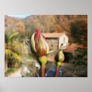 Pesquisar por cumprimento fotografia Aumentou