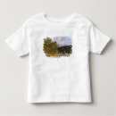 Pesquisar por st lucia camisetas Férias