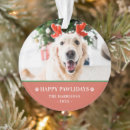 Pesquisar por peludo ornamentos Para todos
