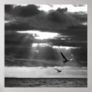 Pesquisar por oceanos pôsteres pósteres Calma