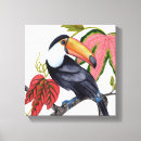 Pesquisar por plantas tropicais impressão de canvas Toucano