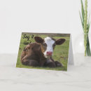 Pesquisar por funny cow cartoes Friend