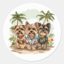 Pesquisar por yorkshire terrier adesivos Cãozinho
