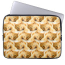 Pesquisar por animal de estimação capas Gatinho