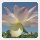 Pesquisar por flor lotus azul adesivos Para todos