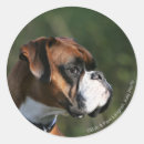 Pesquisar por perfil adesivos Cão
