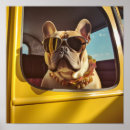 Pesquisar por french bulldog artes pósteres Pet