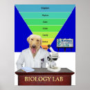 Pesquisar por biologia pôsteres pósteres Professor de biologia