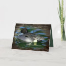 Pesquisar por duck cartoes Pato real