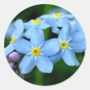 Pesquisar por miosótis adesivos Flores