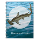 Pesquisar por shark escritorio escola Praia