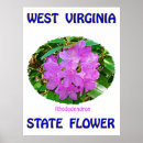 Pesquisar por west virginia pôsteres pósteres Natureza