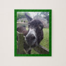 Pesquisar por burro quebra cabecas Fazenda