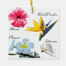 Pesquisar por paraíso havaiano Plumeria