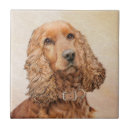Pesquisar por cocker spaniels azulejos Cão