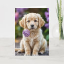 Pesquisar por cão com flores cartoes Qualquer pessoa