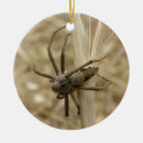 Pesquisar por aracnídeos ornamentos Animais