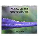 Pesquisar por macro fotografia Natureza