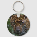 Pesquisar por jaguar chaveiros Gato