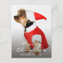 Pesquisar por yorkshire terrier christmas cartoes postais Cão