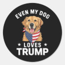 Pesquisar por bandana adesivos Americano