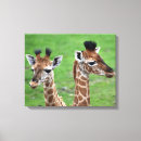 Pesquisar por wildlife impressão de canvas Animal