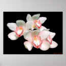 Pesquisar por new year pósteres Happy