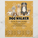 Pesquisar por cães flyers Cachorros