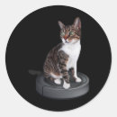 Pesquisar por gato felino adesivos Mãe do gato