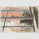 Pesquisar por o gato preto tecidos Qualquer pessoa