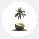 Pesquisar por fruta de árvore adesivos Coco