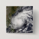 Pesquisar por tropical botons Ilhas