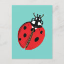 Pesquisar por lady bug cartoes postais Joaninha